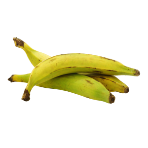 Banana - Plantain