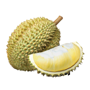 Durian - Monthong