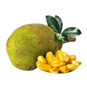 Jackfruit