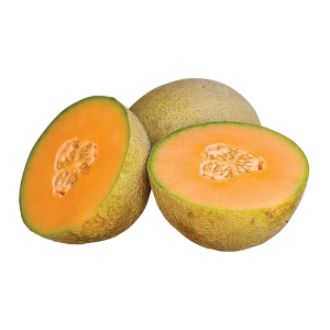 Melon - Cantaloupe