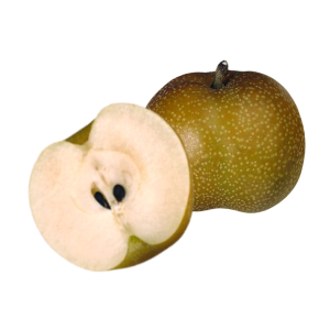 Pear - Nijisseiki