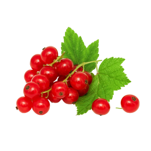 Redcurrant