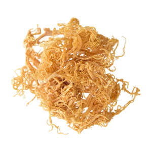 Sea Moss