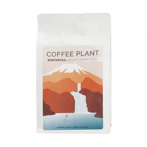 COFFEE PLANT - Costa Rica Centroamericano Piramide Natural Filter 250g