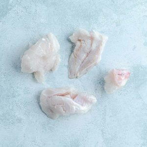 Wild Atlantic Cod Misshapes