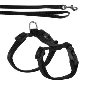 Kitten Harness with Lead