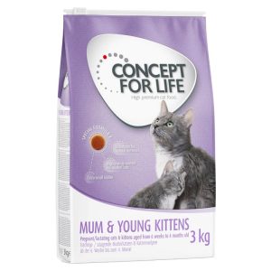 Concept for Life Mum & Young Kittens