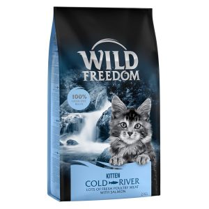 Wild Freedom Kitten 