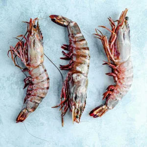 Huge raw whole tiger king prawns