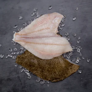 Turbot Fillet