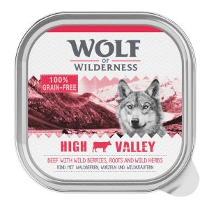 Wolf of Wilderness Adult Classic 6 x 300g