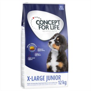 Concept for Life X-Large Junior