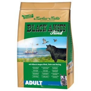 Black Angus Adult