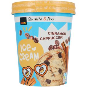 Ice Cream Cinnamon Cappuccino - 480 ml