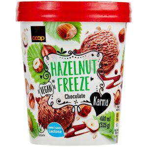 Karma Hazelnut Chocolate Freeze Ice Cream - 480 ml