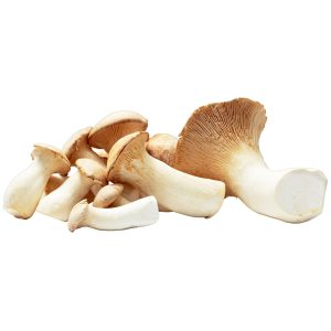 Naturaplan Organic Oyster Mushrooms ca. 100g - 100 g