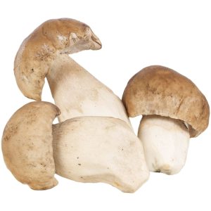 Porcini Mushrooms - 200 g