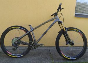 For sale CUSTOM Enduro/trail HARDTAIL 29