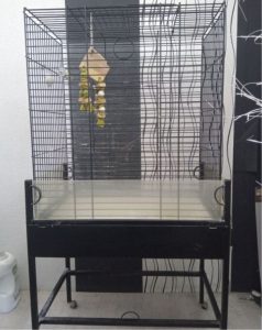 Large mobile parrot cage