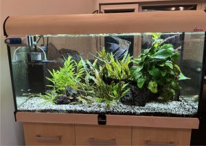 Aquarium Diversa set SOLID 200 liters