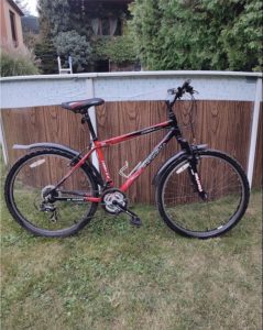 COBRA PiRANHA 21 speed bicycle for sale