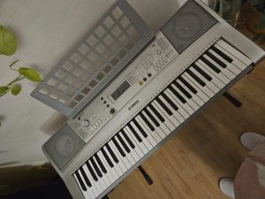 Predam malo pouzivane Yamaha YPT 300