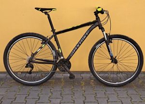 SALE - Maxbike Nimba Mountain Bike