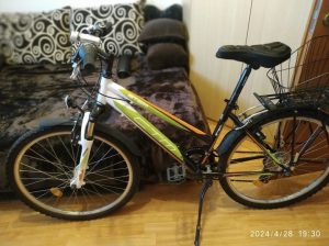 Bicycle CTM Stefi 2.0 16