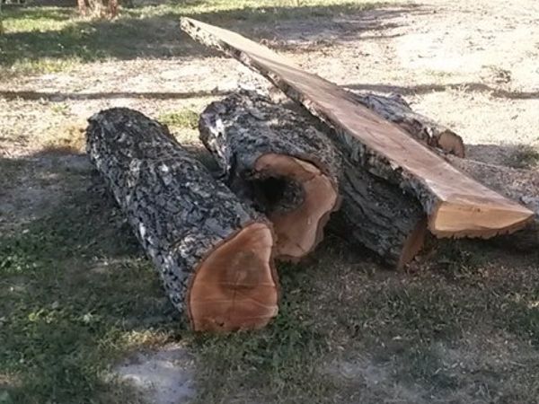 Palivove drevo - orech