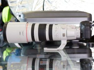 Canon EF 200-400mm f/4,0 L IS USM+1,4x telek.