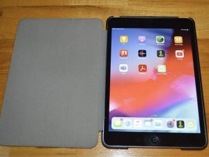 predam Apple iPad mini 2