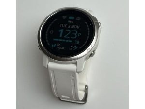 Garmin Fenix 6S