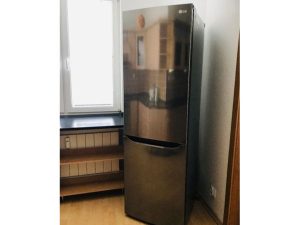 Kombinovaná chladnička s mrazničkou LG