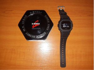 hodinky CASIO DW 5600BB-1 G-Shock