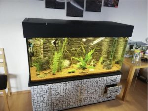 Predám akvarium 450l komplet