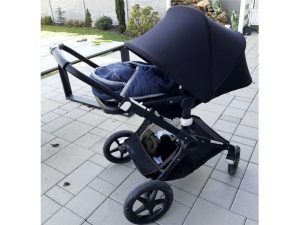 Bugaboo fox