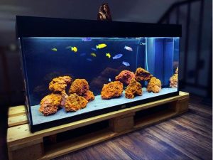 Aquarium Juwel Rio180