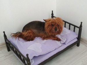 pelech pre psa, kovová posteľ mini