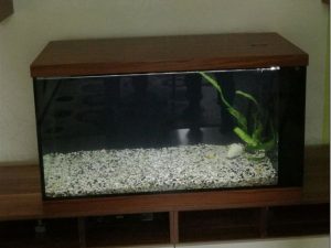 Akvárium s rybičkami a kompletným vybavením