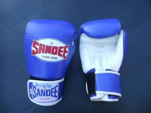 Predám boxerské rukavice SANDEE 12 OZ.