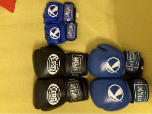 Rukavice Box, Muay Thai, MMA