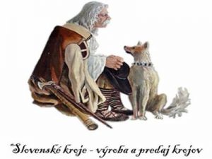 Slovenské kroje