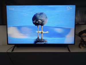 Samsung TV