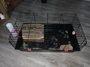 I am selling a cage for a guinea pig
