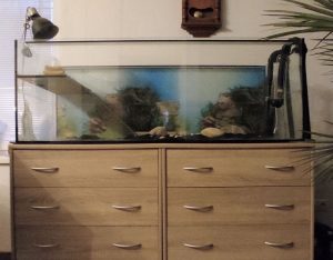 Aquarium for water turtles