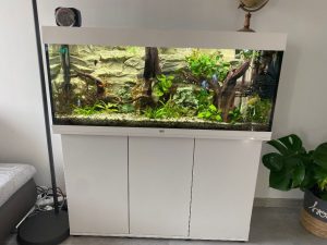 Aquarium JUWEL RIO 240