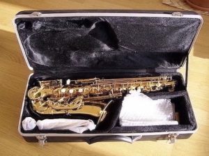 I am selling a new Startone alto saxophone - a complete set
