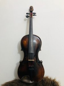 The whole violin