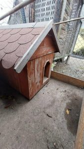 Insulated dog or cat house