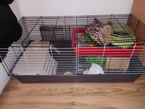 Large cage for rabbits and guinea pigs